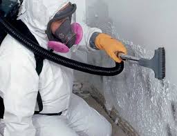 Best Dehumidification Services  in Rocky Point, NY